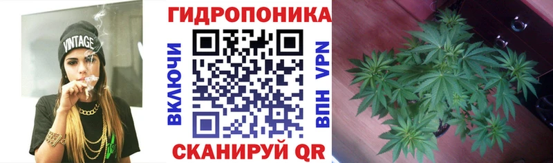 МАРИХУАНА OG Kush  купить   Красавино 